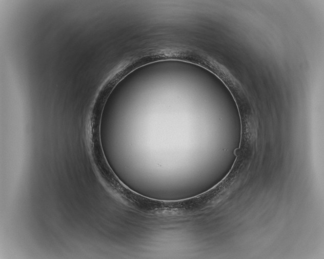 X0000112980730200908271142