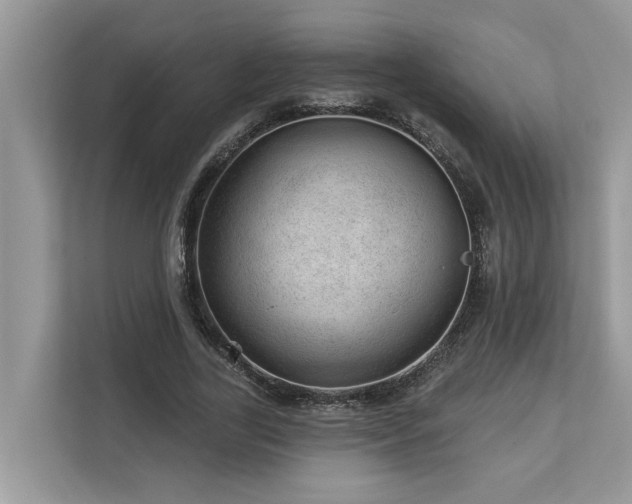 X0000112980731200908271142