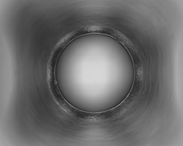 X0000112980732200908271142