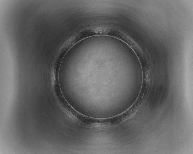 X0000112980733200908271142