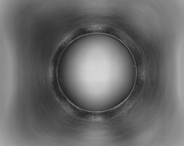 X0000112980735200908271143