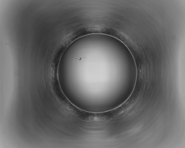 X0000112980739200908271143