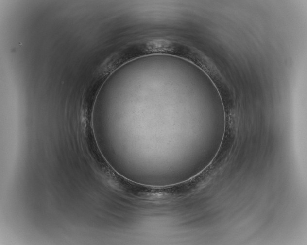 X0000112980741200908271143