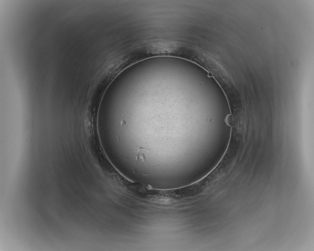 X0000112980743200908271143