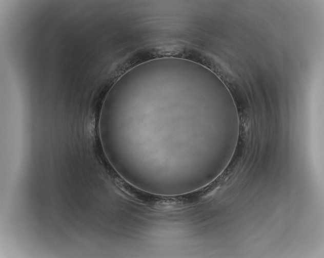 X0000112980745200908271143