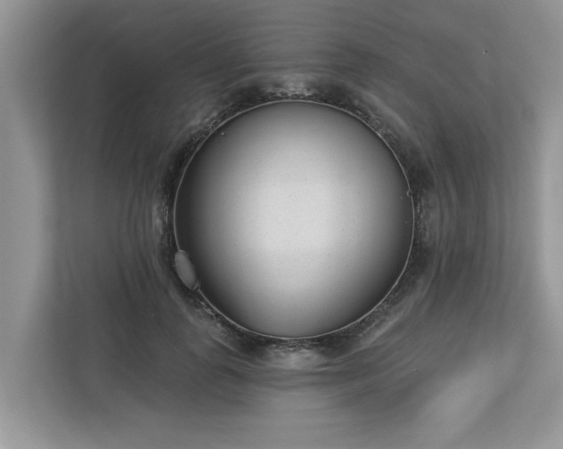 X0000112980747200908271143
