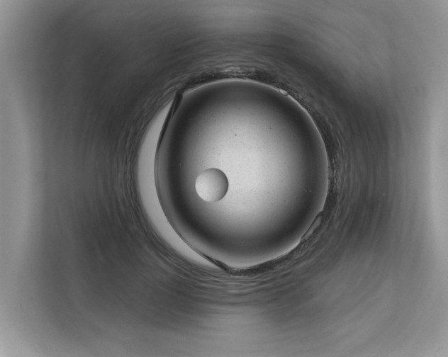 X0000112980748200908271143