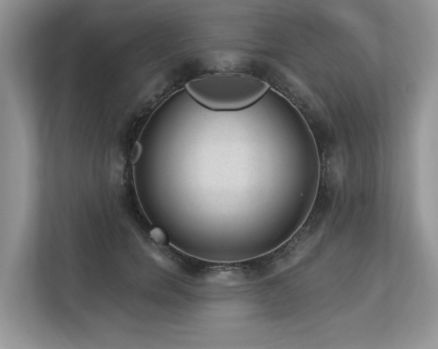 X0000112980750200908271143