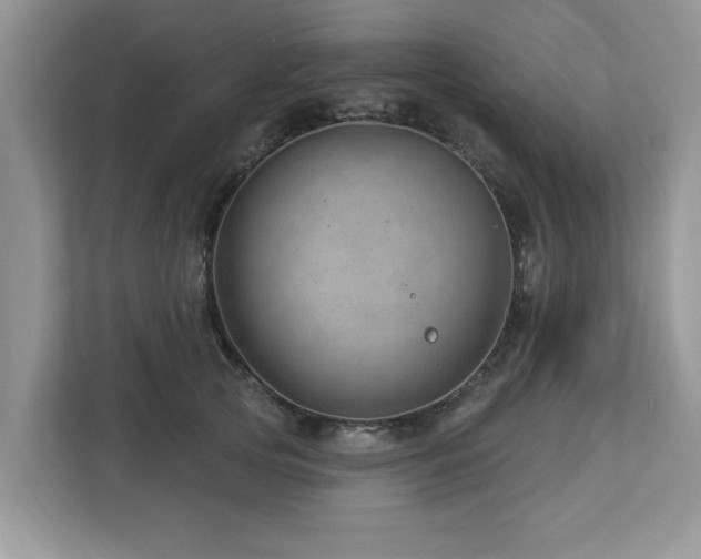 X0000112980753200908271143