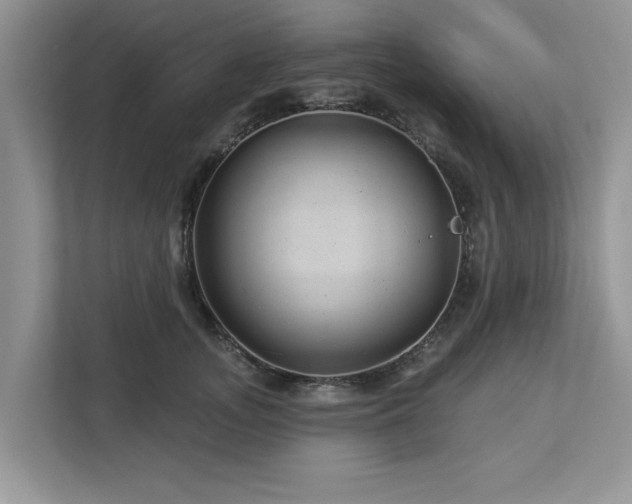X0000112980755200908271143
