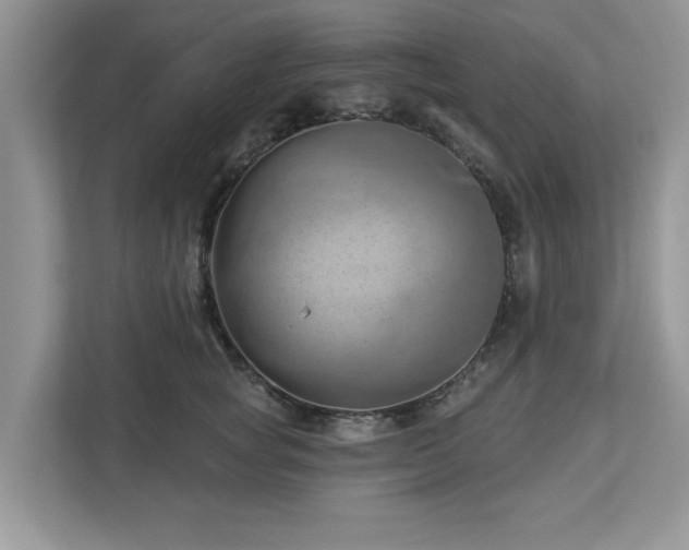 X0000112980757200908271143