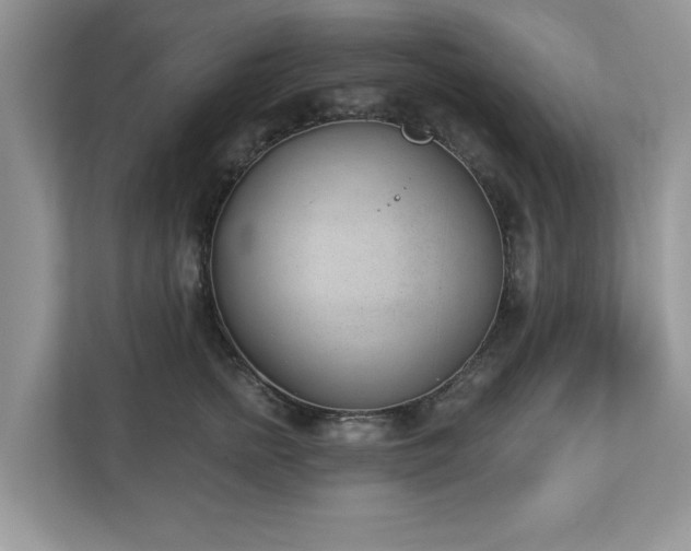 X0000112980758200908271143