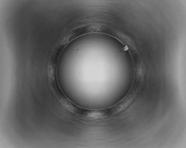 X0000112980759200908271143