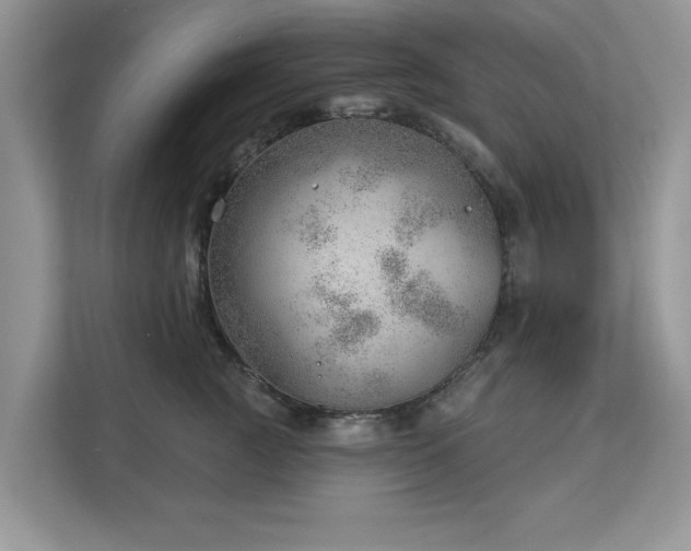 X0000112980761200908271143