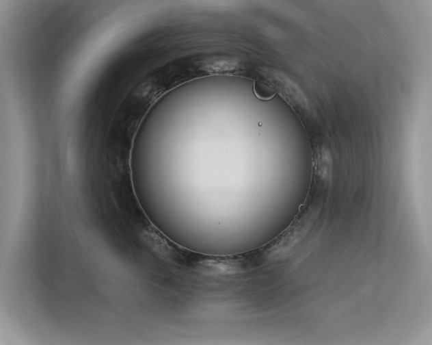 X0000112980763200908271143