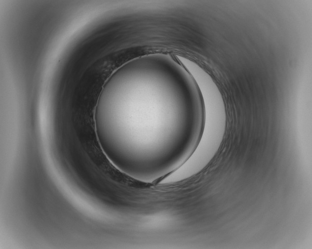 X0000112980764200908271143