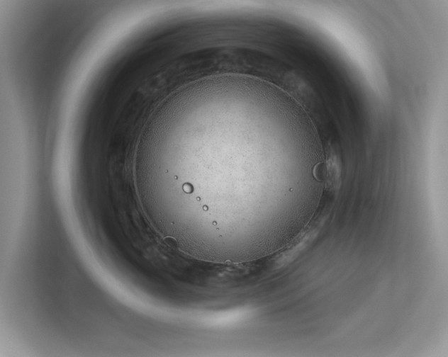 X0000112980765200908271143