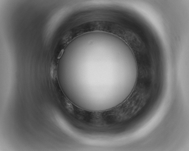 X0000112980766200908271143