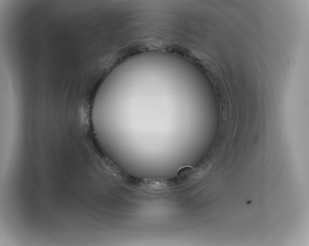 X0000112980768200908271143
