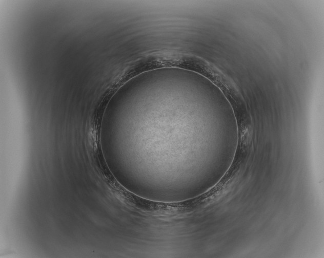 X0000112980772200908271142