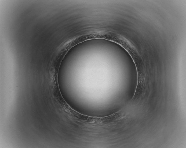 X0000112980773200908271142