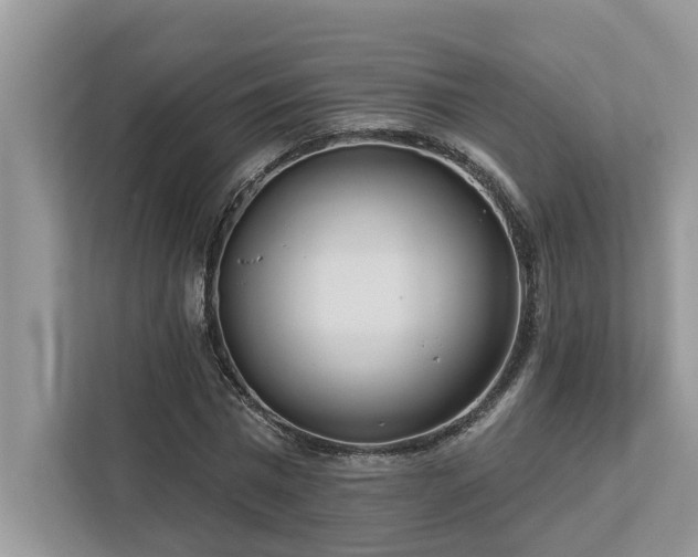 X0000112980777200908271142