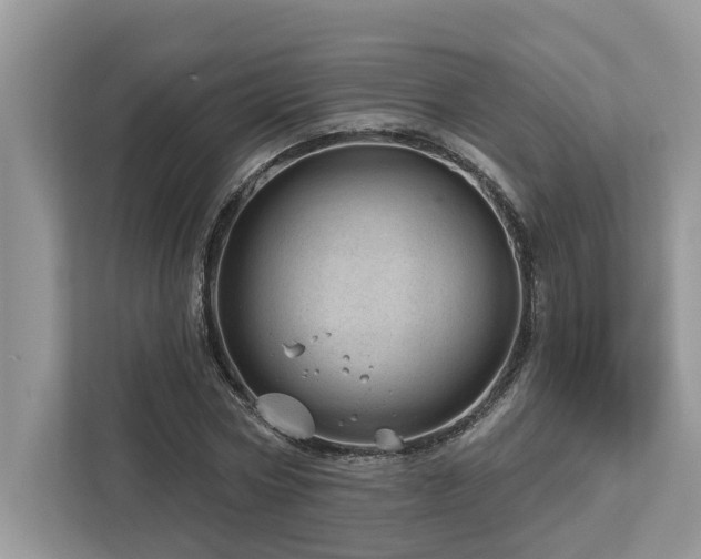 X0000112980778200908271142