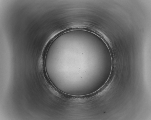 X0000112980779200908271142