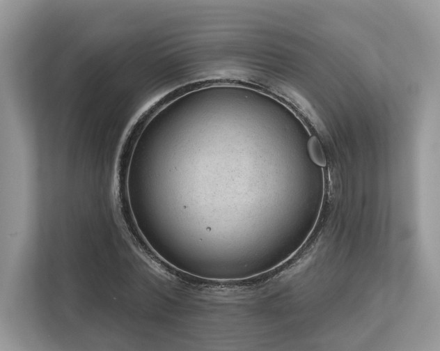 X0000112980780200908271142