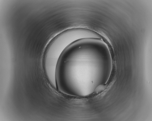 X0000112980781200908271142