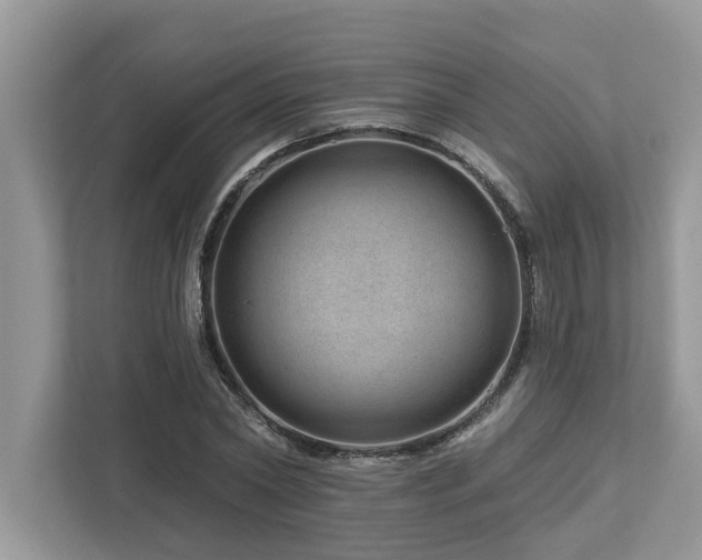 X0000112980782200908271142