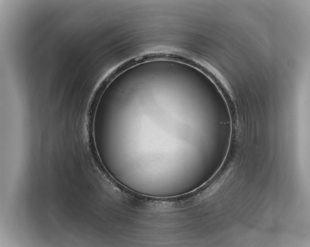 X0000112980783200908271142
