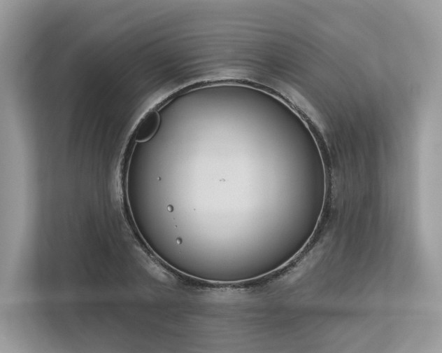 X0000112980789200908271142
