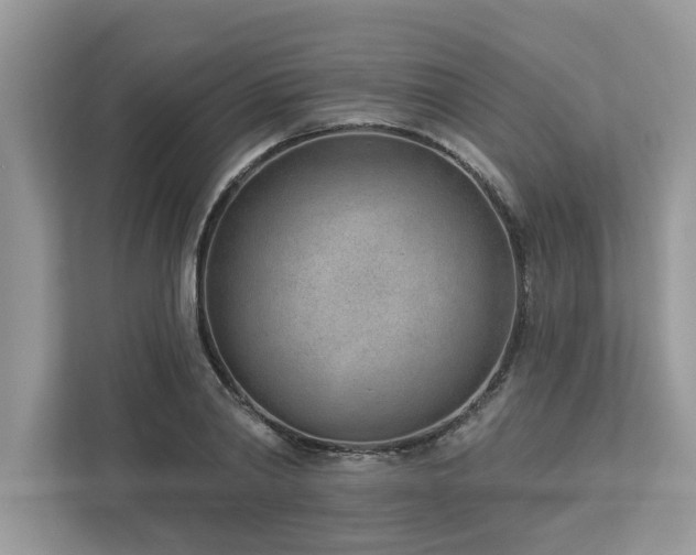 X0000112980790200908271142