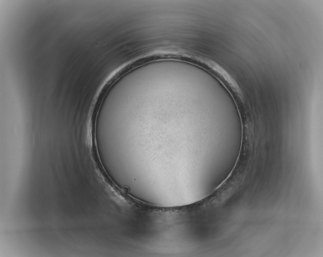X0000112980791200908271142