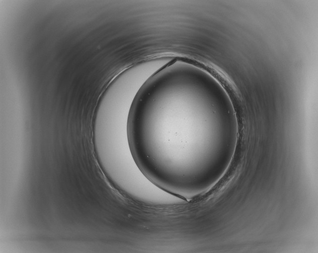 X0000112980793200908271142