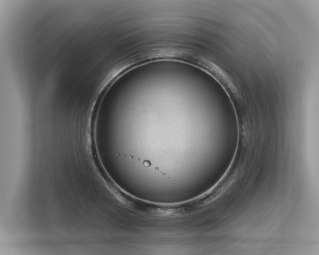 X0000112980794200908271142