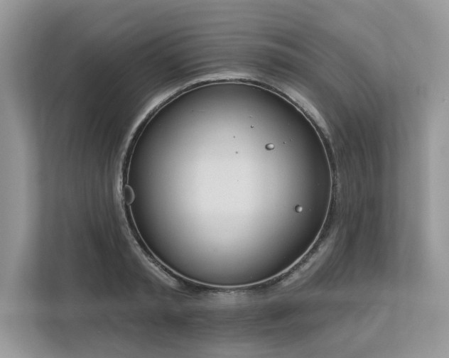 X0000112980797200908271142
