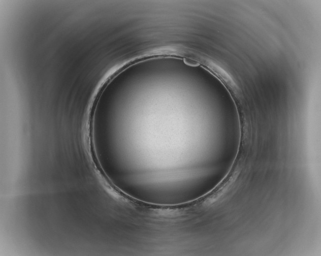 X0000112980800200908271142