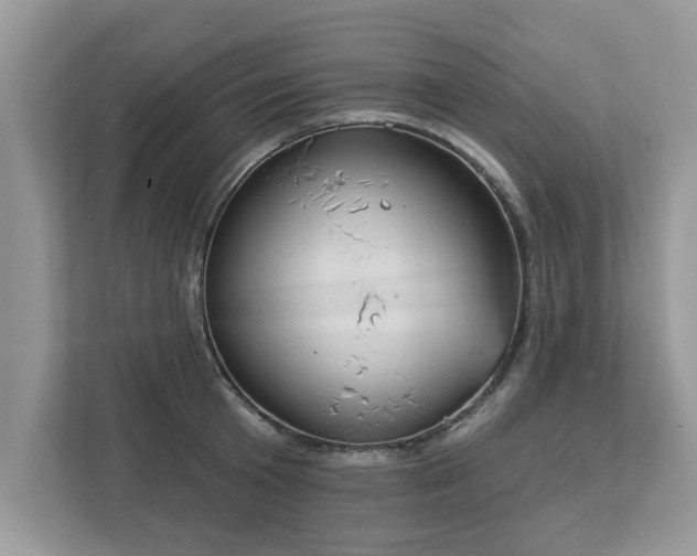X0000112980801200908271142