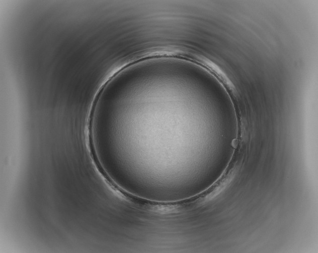 X0000112980802200908271142