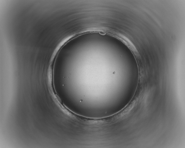 X0000112980804200908271142