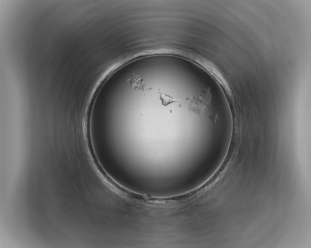 X0000112980805200908271142