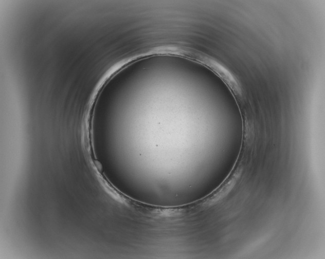 X0000112980808200908271142