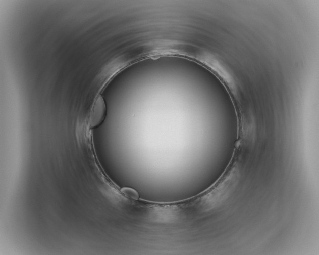 X0000112980809200908271142