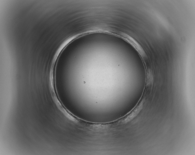 X0000112980812200908271142