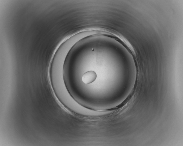 X0000112980813200908271142