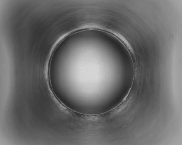 X0000112980815200908271142