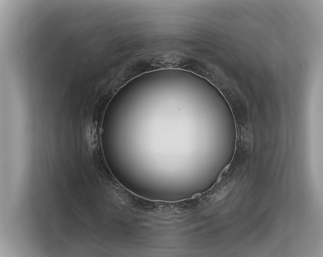 X0000112980818200908271141