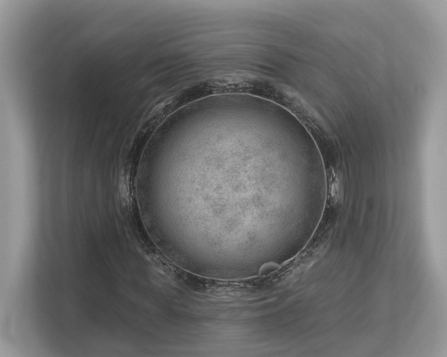 X0000112980819200908271141